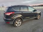 Lot #3302668003 2015 FORD ESCAPE SE