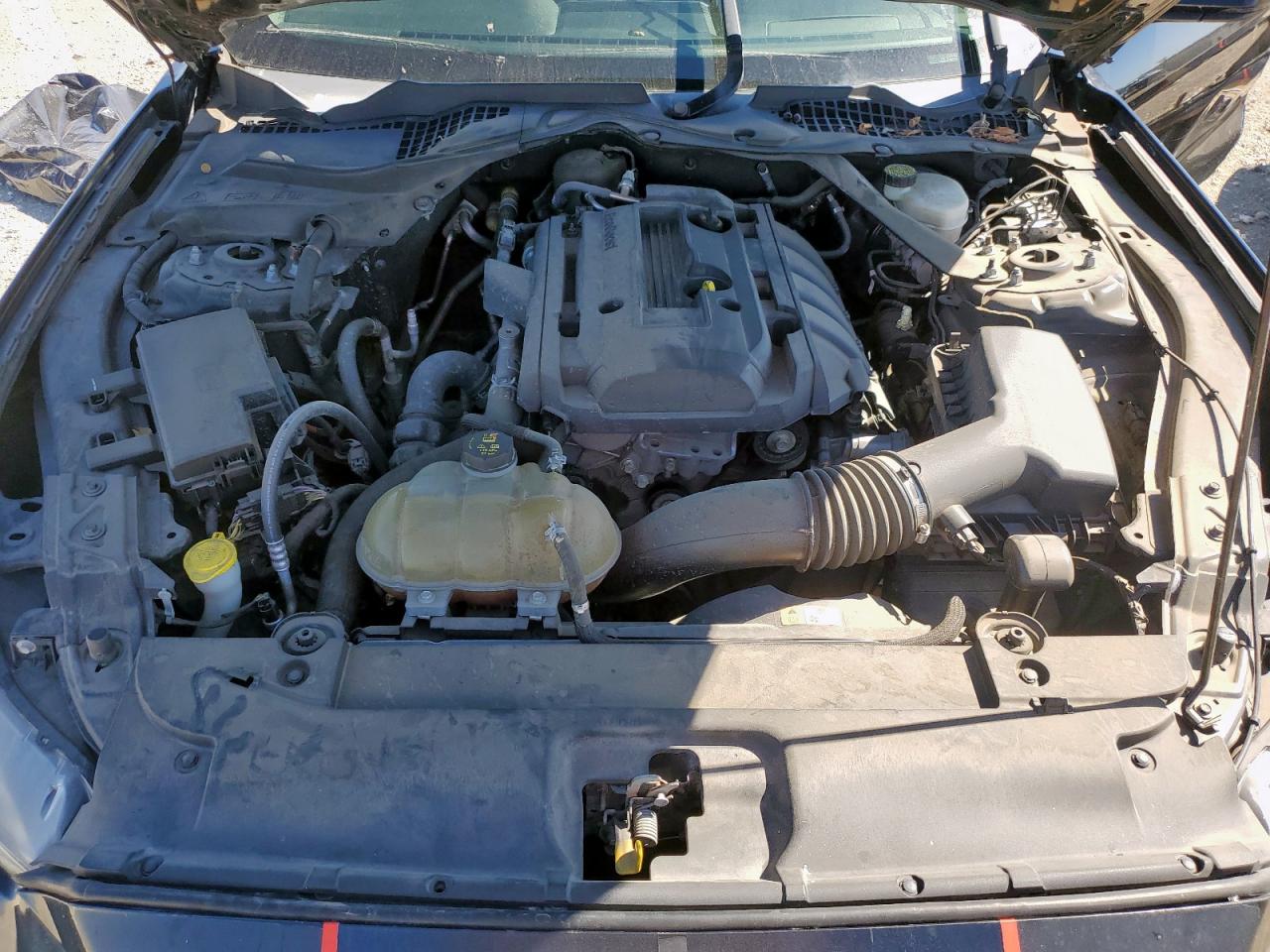 Lot #3305726770 2016 FORD MUSTANG