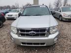 Lot #3305435443 2011 FORD ESCAPE XLT