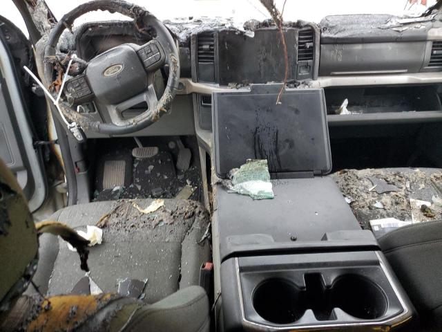 2023 FORD F150 LIGHT #3304661905