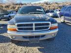 Lot #3296462681 1998 DODGE DAKOTA