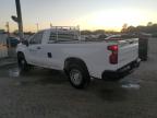Lot #3296350121 2019 CHEVROLET SILVERADO