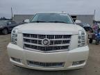 Lot #3294361899 2011 CADILLAC ESCALADE E