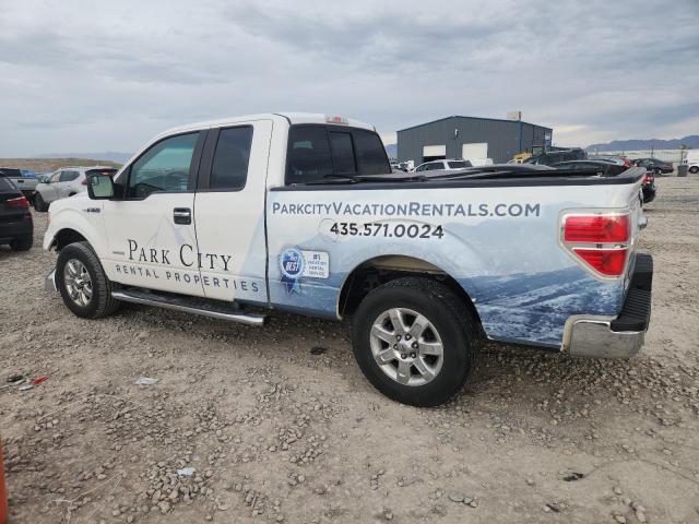 2013 FORD F150 SUPER - 1FTFX1ET8DFC80574