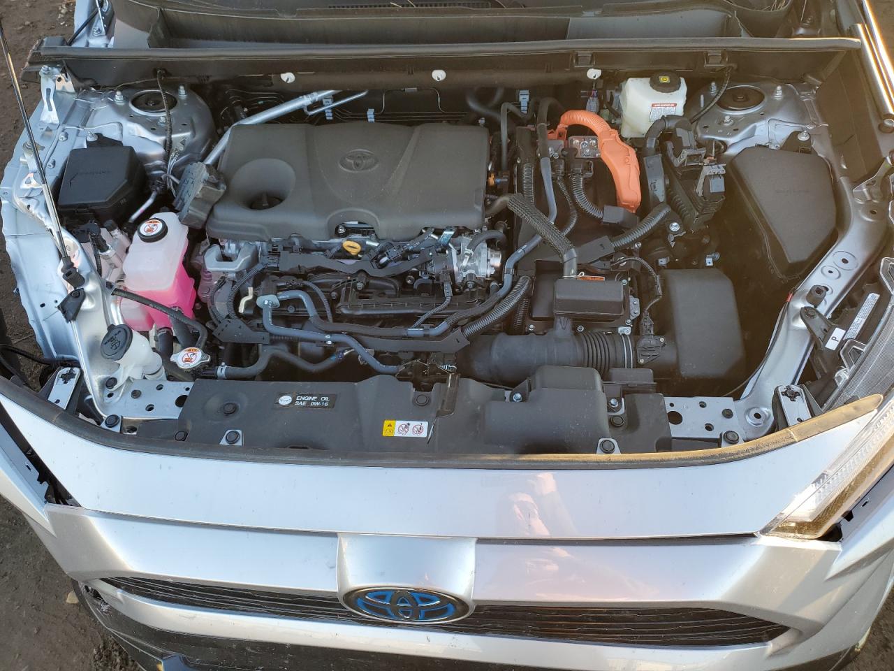 Lot #3290099263 2024 TOYOTA RAV4 XSE