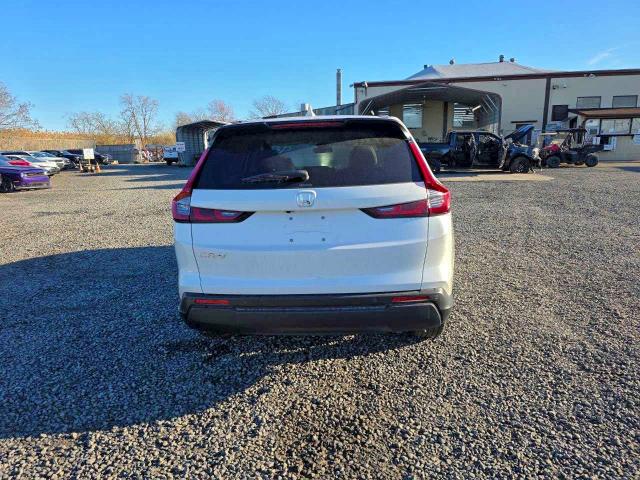 2025 HONDA CR-V EXL #3302697052