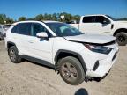 Lot #3318858917 2023 TOYOTA RAV4 XLE