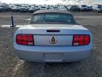 Lot #3303707538 2005 FORD MUSTANG