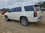 Lot #3310420953 2015 CADILLAC ESCALADE P