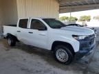 Lot #3303968703 2023 CHEVROLET COLORADO