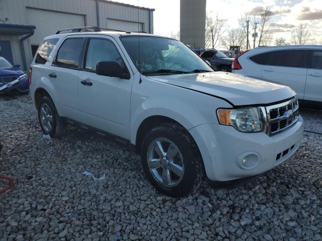 2011 FORD ESCAPE XLT - 1FMCU9DG8BKC62168