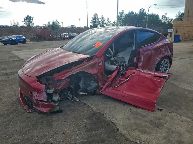 2024 TESLA MODEL Y #3303750452