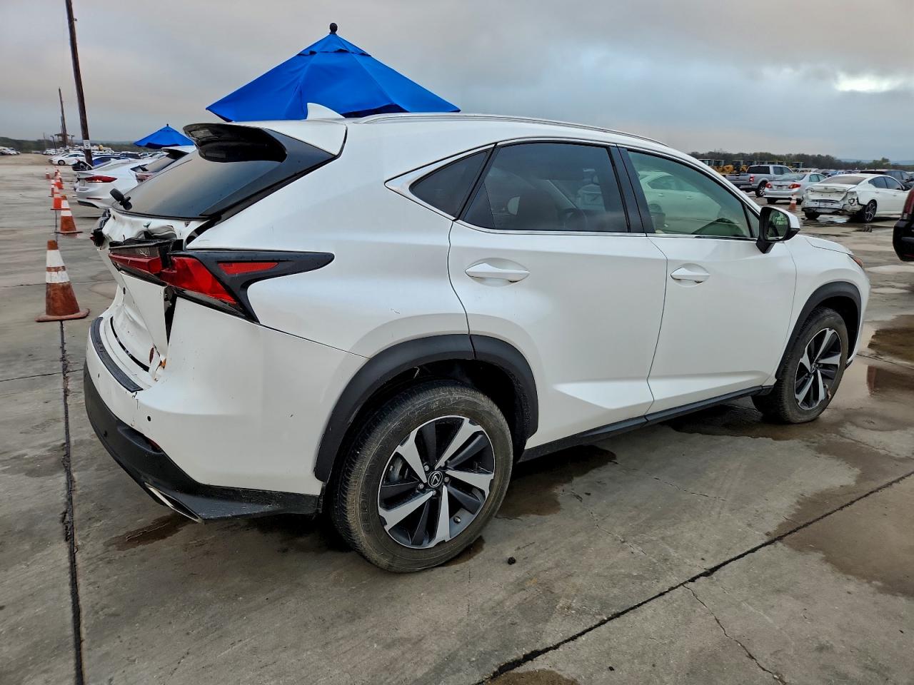 LEXUS NX 300