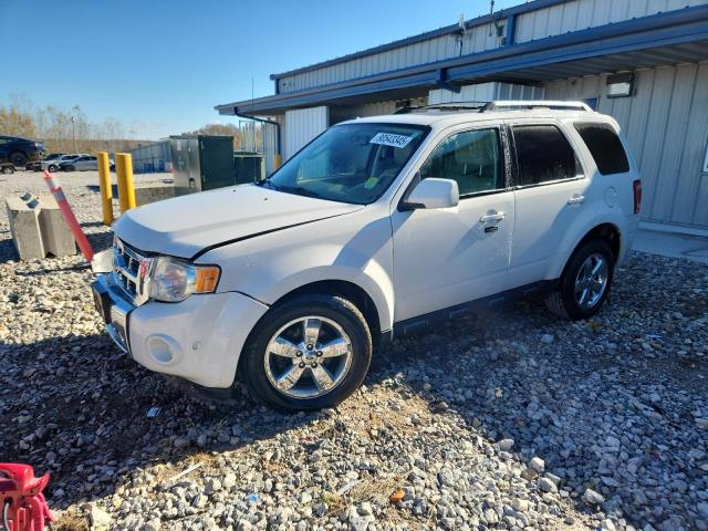 Global Auto Auctions: 2010 FORD ESCAPE LIM
