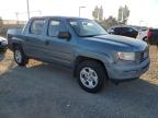 Lot #3296256406 2006 HONDA RIDGELINE