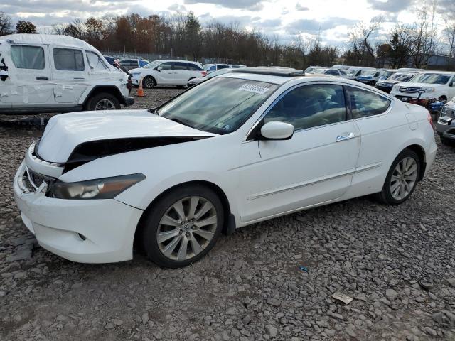 Global Auto Auctions: 2009 HONDA ACCORD EXL