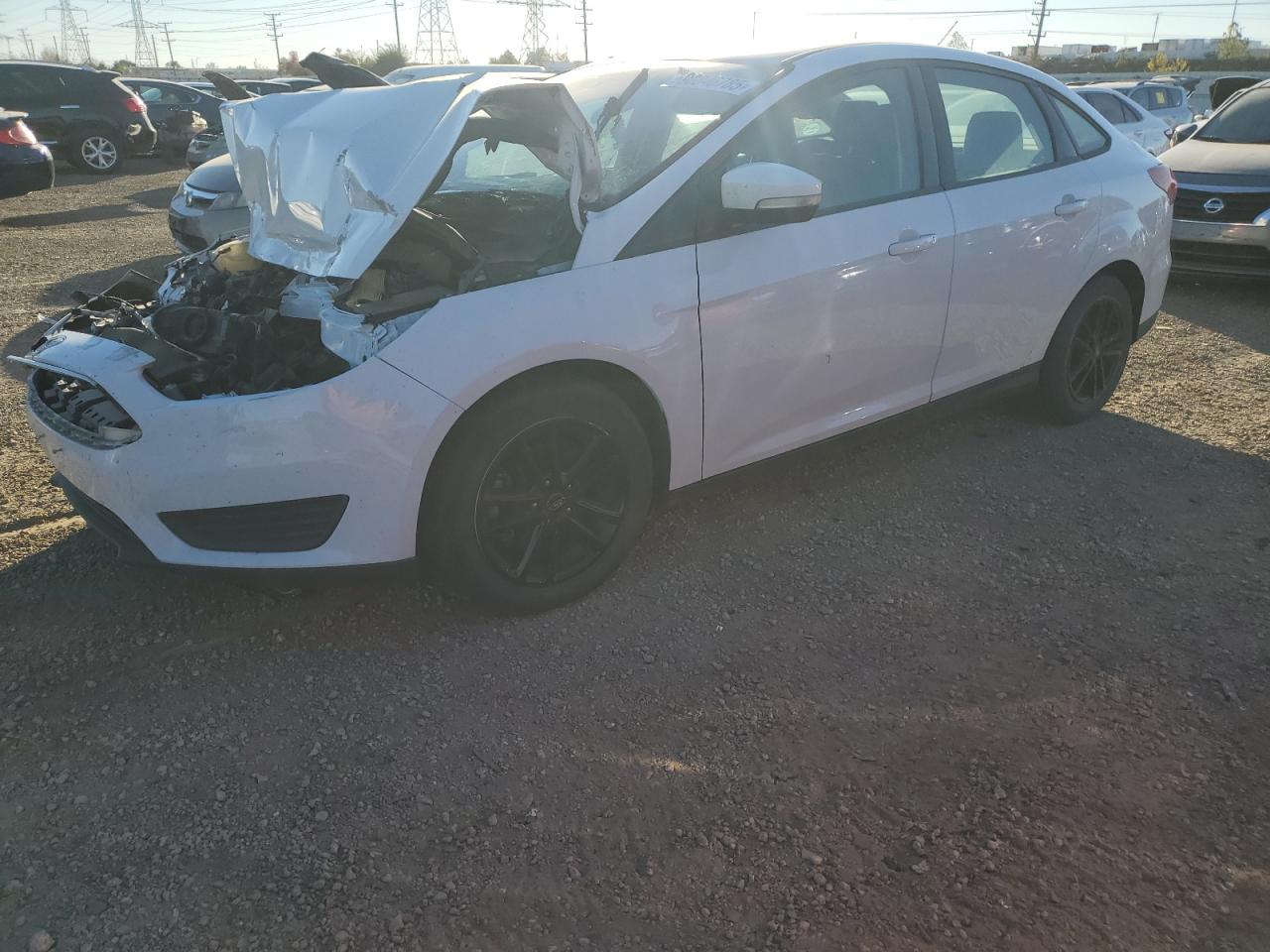 Lot #3290373785 2016 FORD FOCUS SE