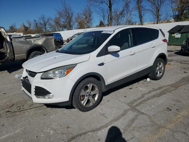 Global Auto Auctions: 2014 FORD ESCAPE SE