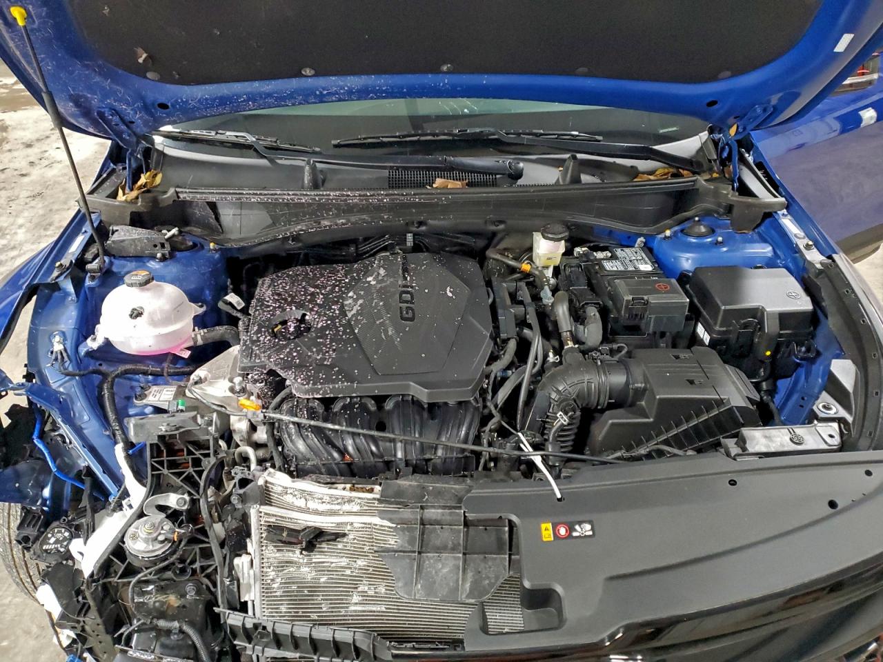 Lot #3315988122 2025 KIA SPORTAGE X