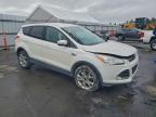 Lot #3297999081 2013 FORD ESCAPE SEL