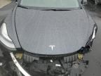 Lot #3309649923 2019 TESLA MODEL 3