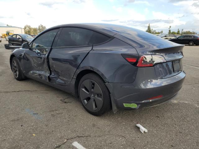 2023 TESLA MODEL 3 #3298085143