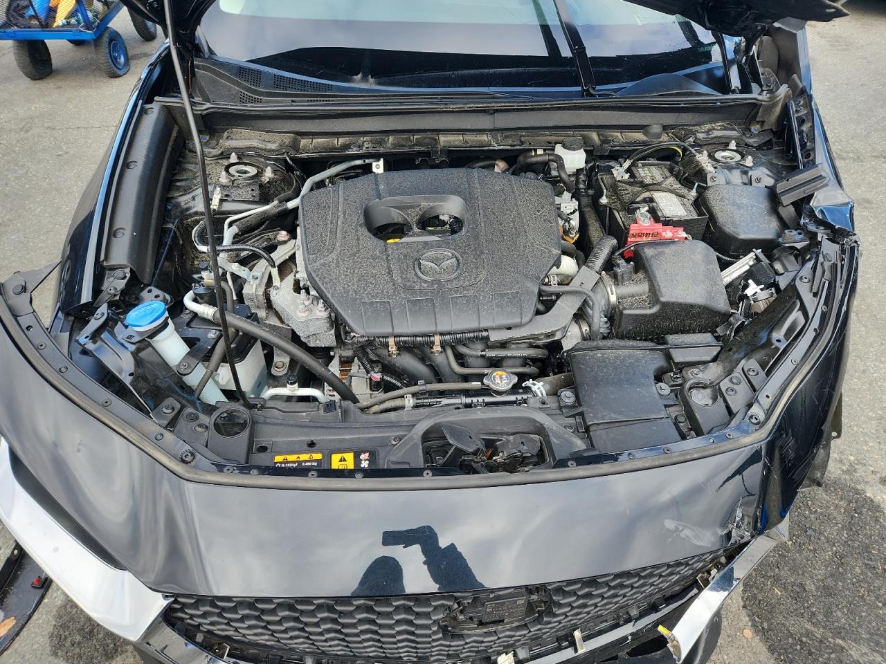 Lot #3302608758 2024 MAZDA CX-30