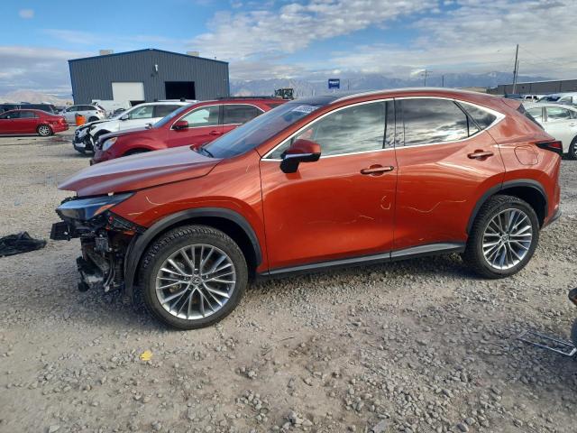 Global Auto Auctions: 2022 LEXUS NX 350H
