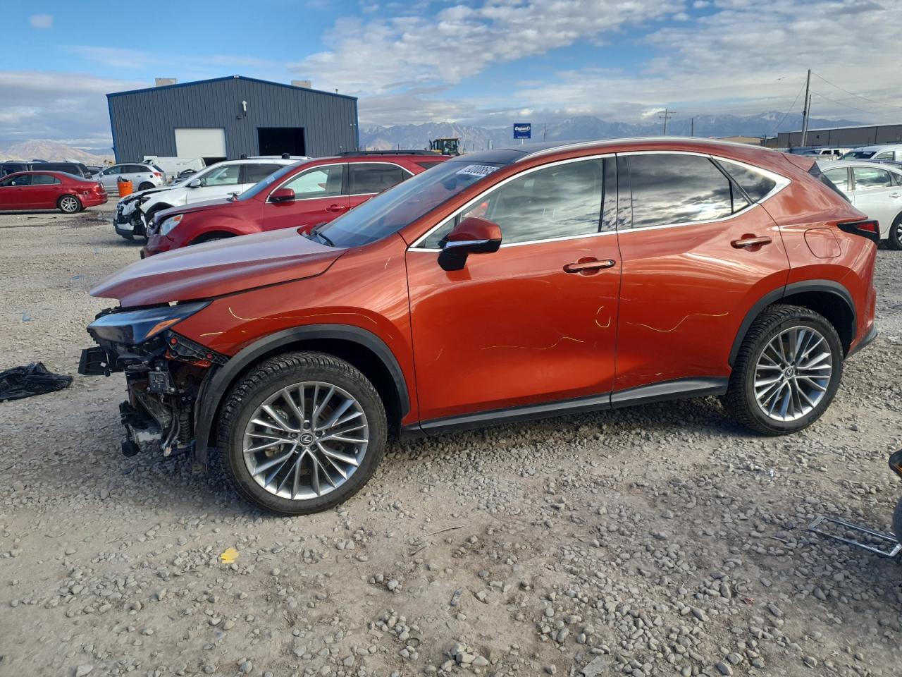 LEXUS NX 350H