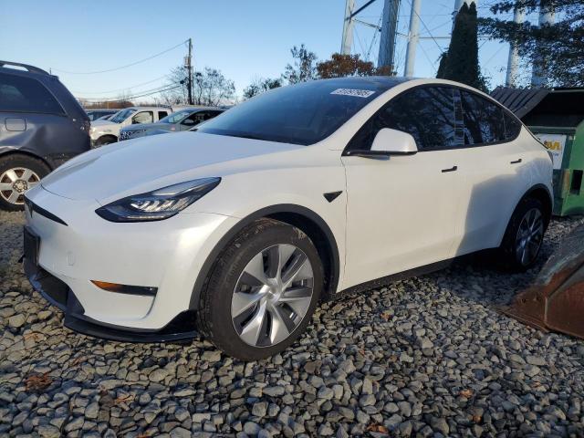 Global Auto Auctions: 2021 TESLA MODEL Y