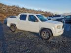 Lot #3296462683 2007 HONDA RIDGELINE