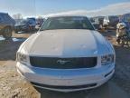 Lot #3304641947 2005 FORD MUSTANG