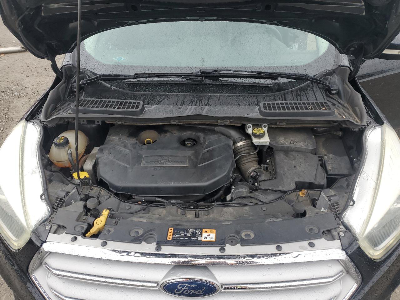 Lot #3311581822 2018 FORD ESCAPE TIT