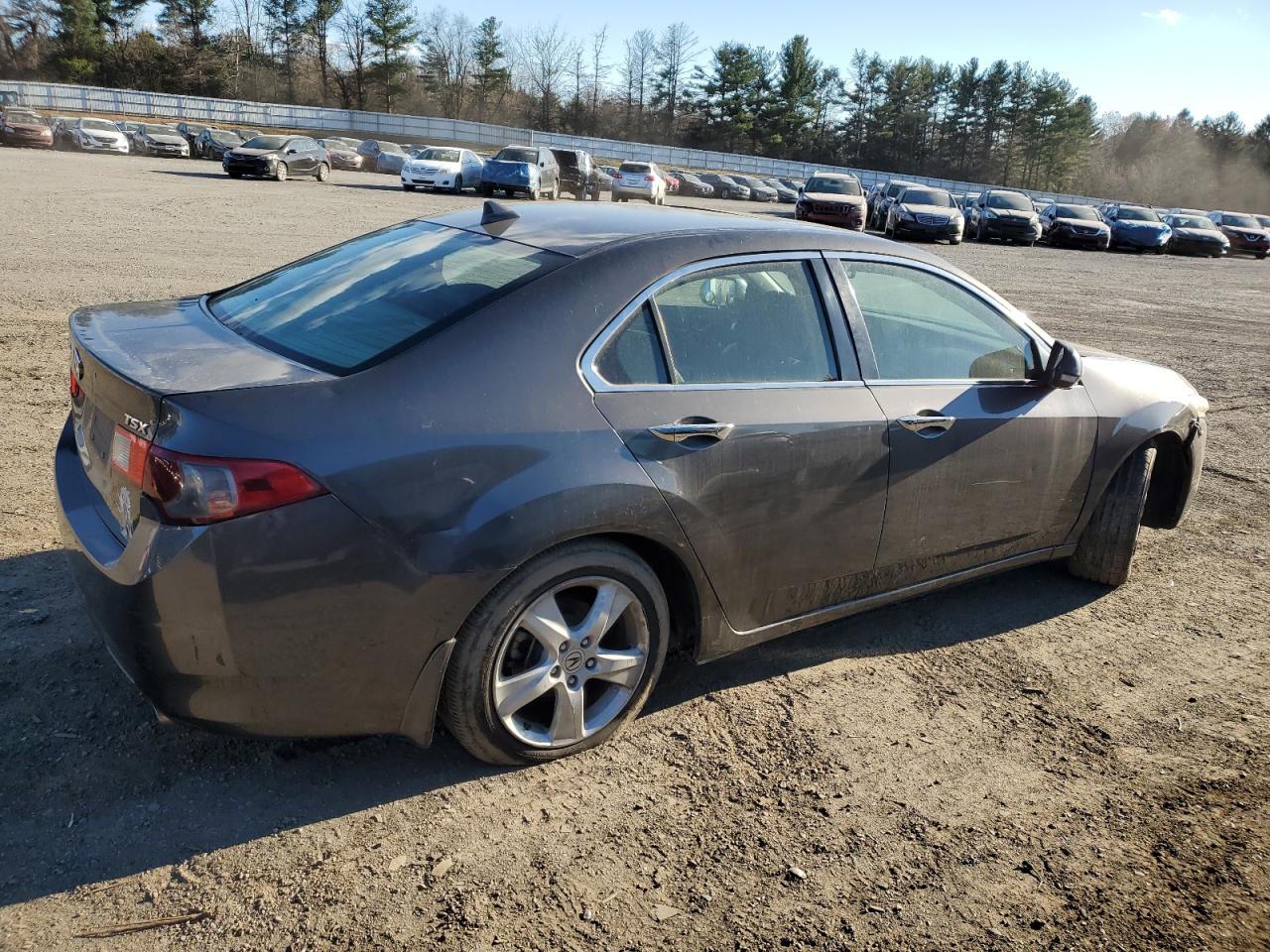 Lot #3302703003 2009 ACURA TSX