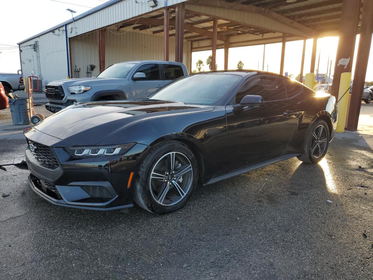 Lot #3291177015 2024 FORD MUSTANG