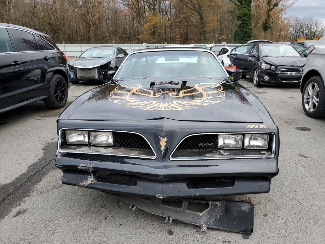 Lot #3286345728 1977 PONTIAC FIREBIRD T