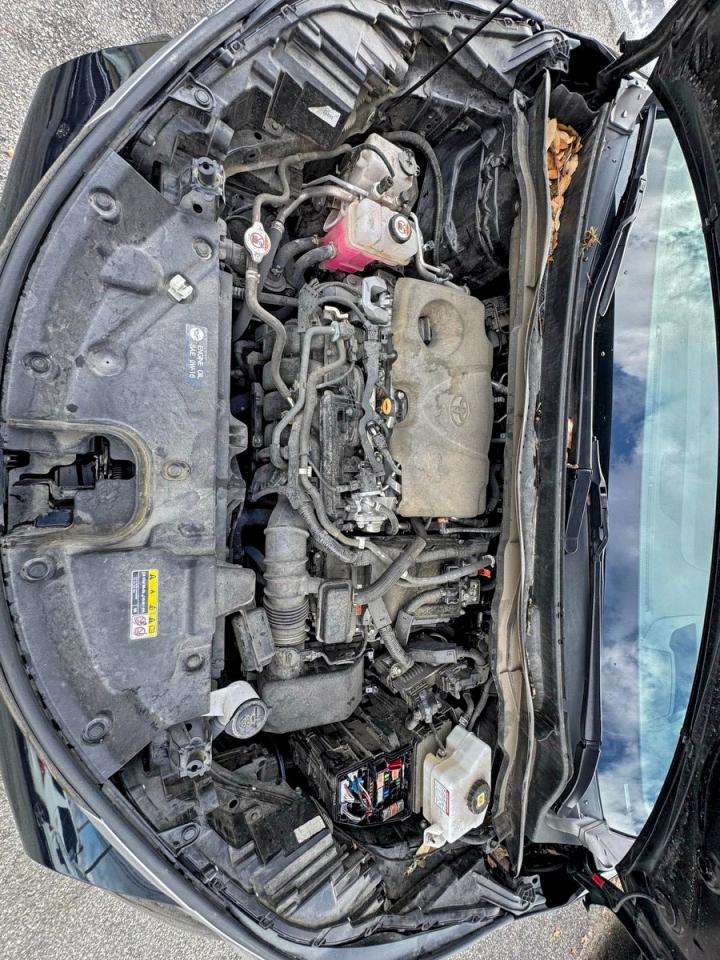 TOYOTA SIENNA LIMITED