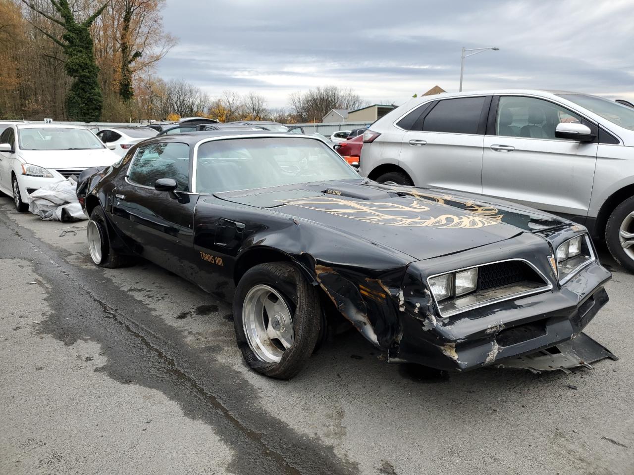 Lot #3286345728 1977 PONTIAC FIREBIRD T