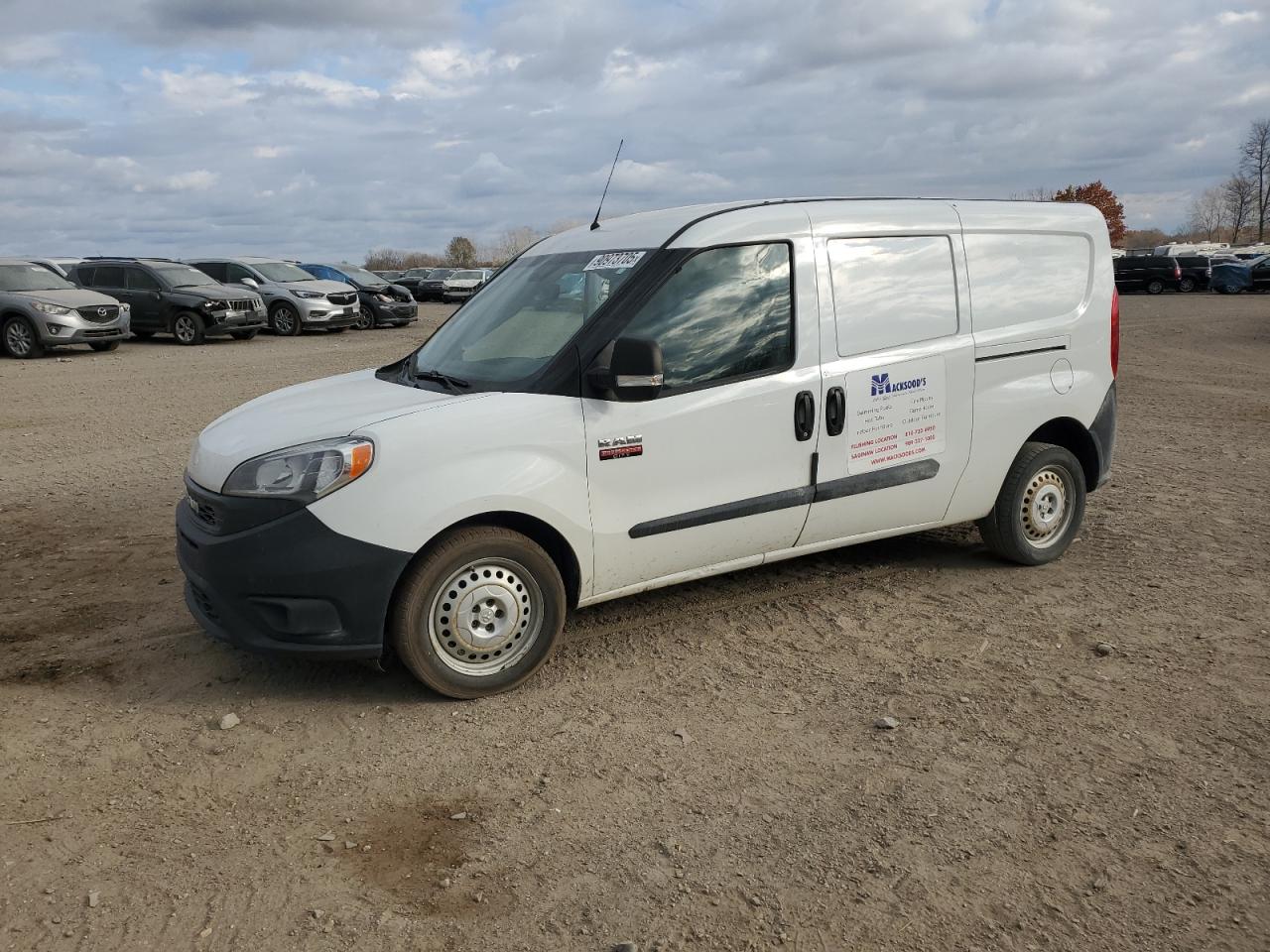 RAM PROMASTER