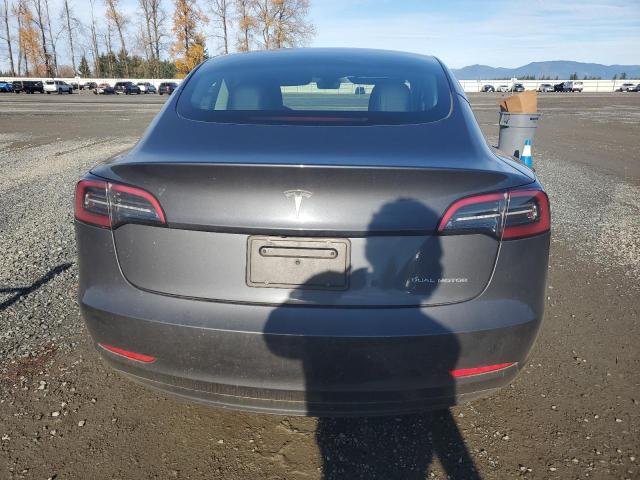 2023 TESLA MODEL 3 #3304059525