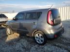 Lot #3301605651 2019 KIA SOUL