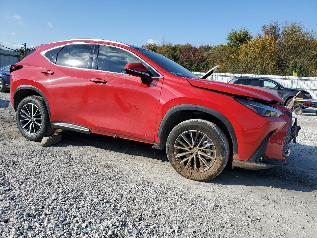 LEXUS NX 350 LUXURY