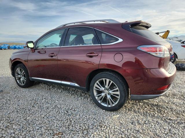 2013 LEXUS RX 450H - JTJBC1BA9D2450815
