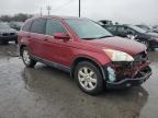 Lot #3305333304 2009 HONDA CR-V EXL