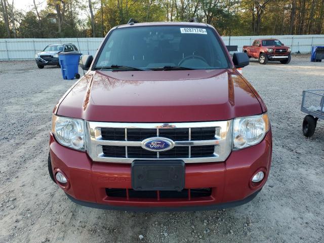 2011 FORD ESCAPE XLT - 1FMCU9DG6BKC30710