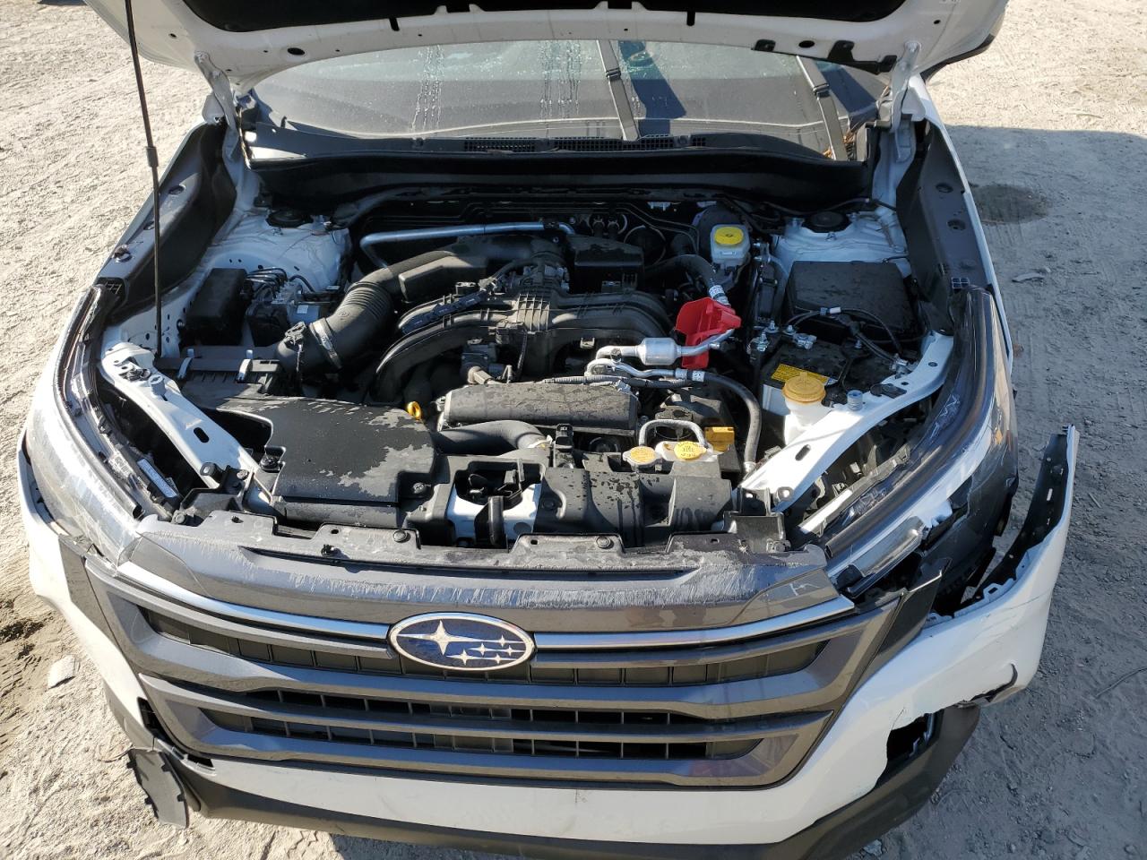 Lot #3301834384 2025 SUBARU FORESTER P