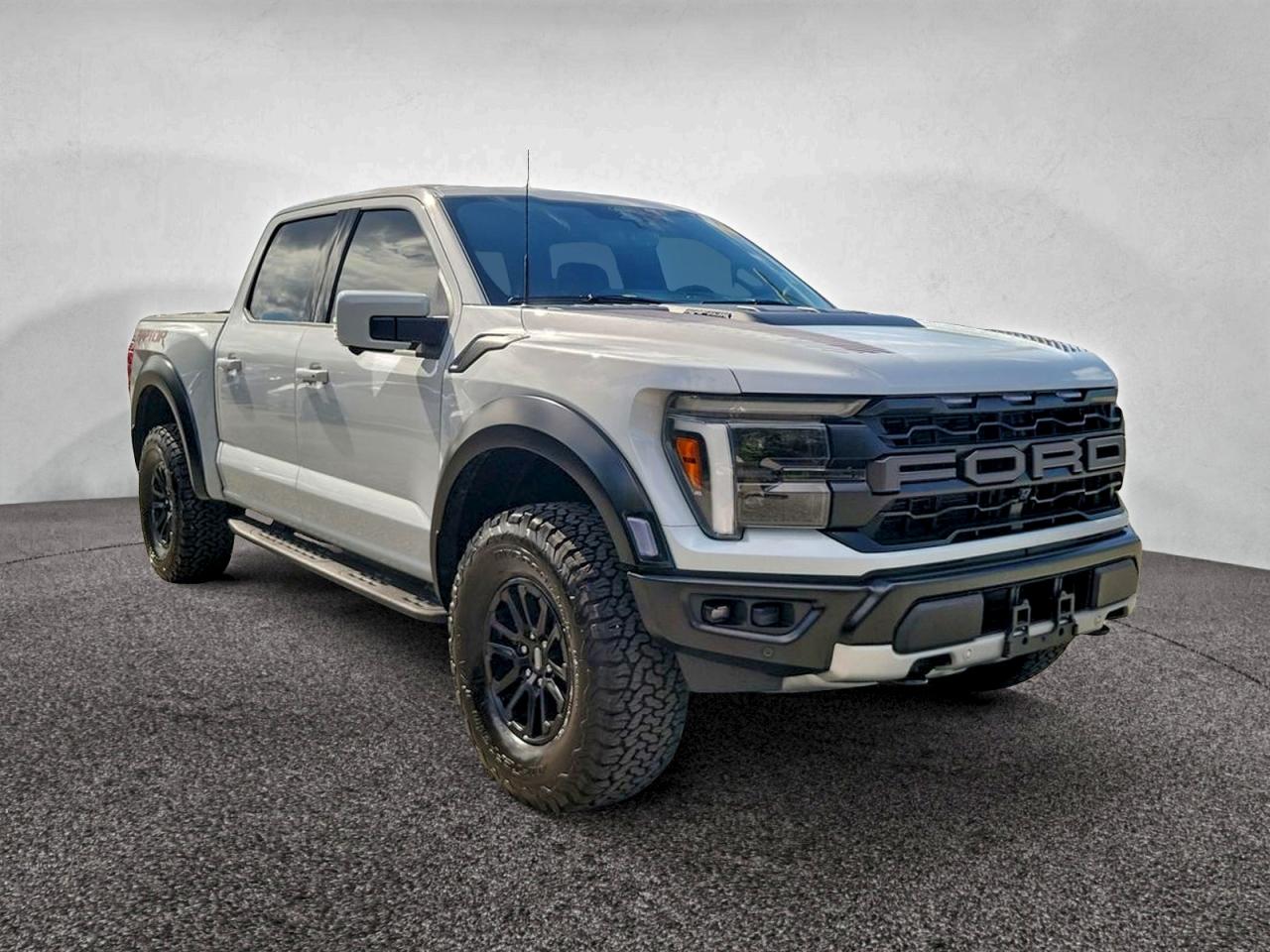 FORD F-150 RAPTOR