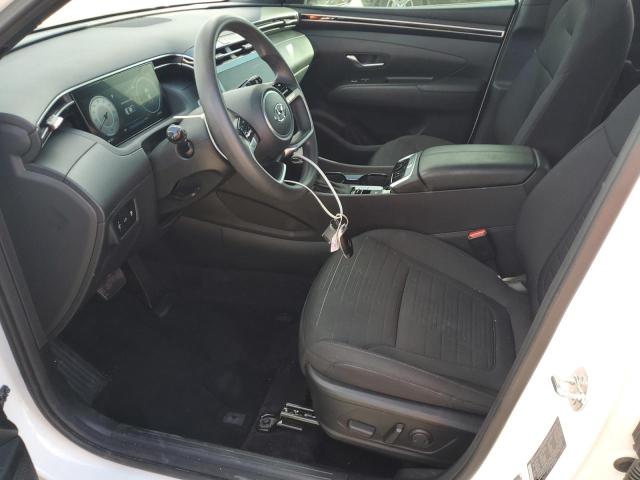 2024 HYUNDAI SANTA CRUZ #3303885729