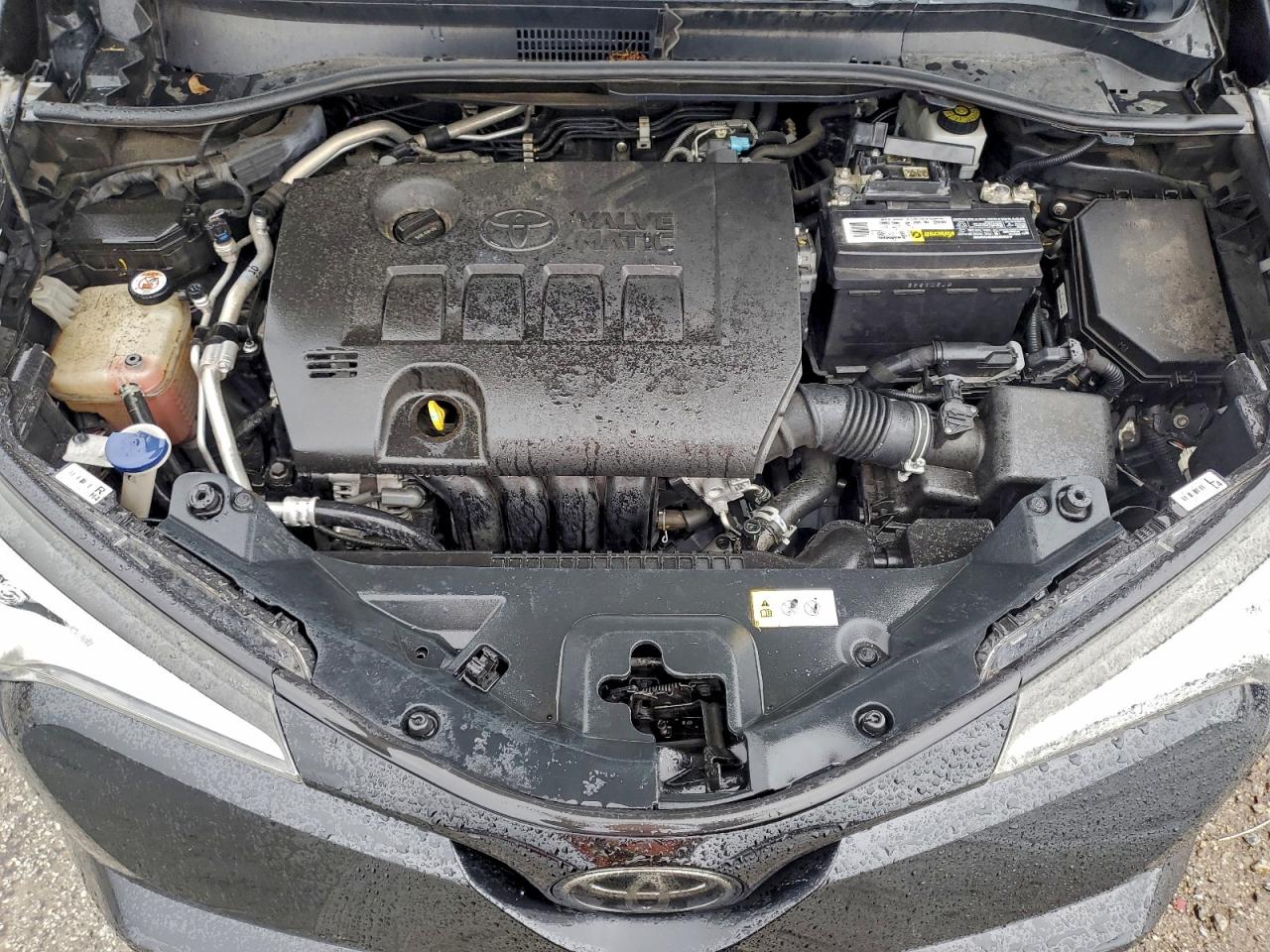 Lot #3315813368 2019 TOYOTA C-HR XLE