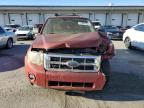 Lot #3296314449 2008 FORD ESCAPE XLT